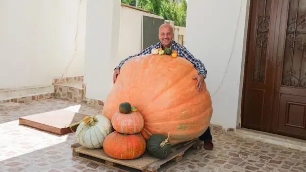 Lebanese Abdul Salam Mohammad al-Mughrabi hugs his harvested the Middle East’s biggest pumpkin at 341 kg